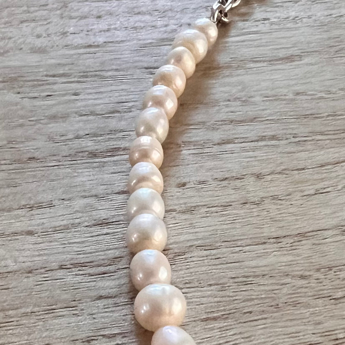 Ginger’s Revenge Freshwater Pearl & Silver-Plated Chain Necklace